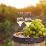 La grappa aromatizzata e le sue antiche origini