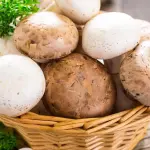 Il migliore amico dell’uomo? Non ha 4 zampe, ma gambo e cappello!